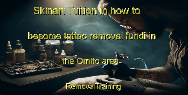 Skinart Tuition in how to become tattoo removal fundi in the Ornito area | RemovalTraining | RemovalClasses | SkinartTraining-Italy