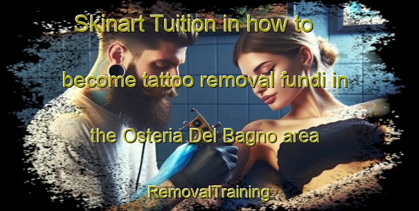 Skinart Tuition in how to become tattoo removal fundi in the Osteria Del Bagno area | RemovalTraining | RemovalClasses | SkinartTraining-Italy