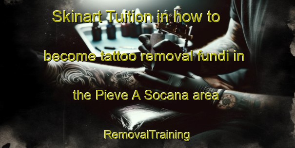 Skinart Tuition in how to become tattoo removal fundi in the Pieve A Socana area | RemovalTraining | RemovalClasses | SkinartTraining-Italy