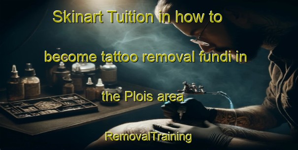 Skinart Tuition in how to become tattoo removal fundi in the Plois area | RemovalTraining | RemovalClasses | SkinartTraining-Italy