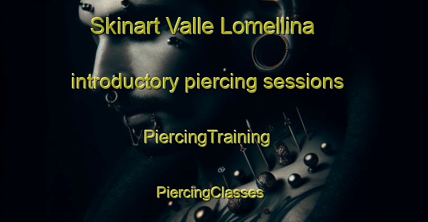 Skinart Valle Lomellina introductory piercing sessions | PiercingTraining | PiercingClasses | SkinartTraining-Italy