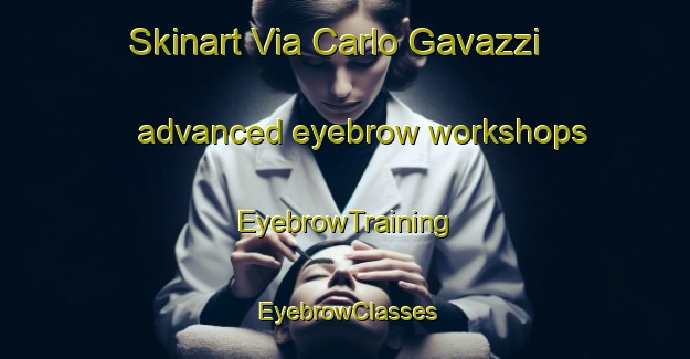 Skinart Via Carlo Gavazzi advanced eyebrow workshops | EyebrowTraining | EyebrowClasses | SkinartTraining-Italy