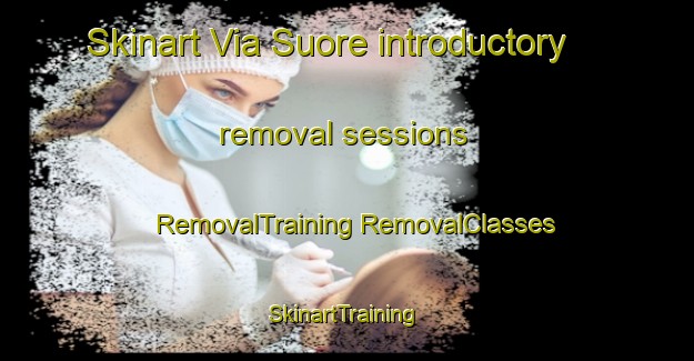 Skinart Via Suore introductory removal sessions | #RemovalTraining #RemovalClasses #SkinartTraining-Italy