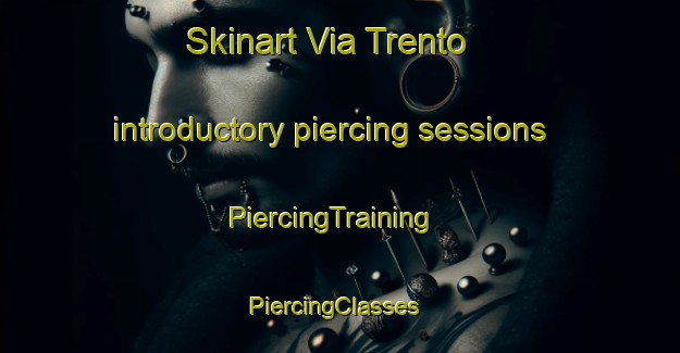 Skinart Via Trento introductory piercing sessions | PiercingTraining | PiercingClasses | SkinartTraining-Italy