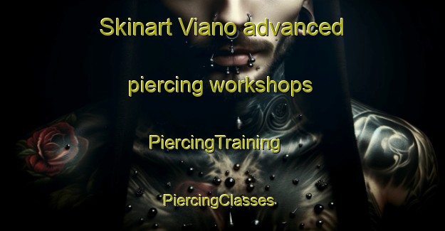 Skinart Viano advanced piercing workshops | PiercingTraining | PiercingClasses | SkinartTraining-Italy