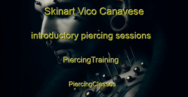 Skinart Vico Canavese introductory piercing sessions | PiercingTraining | PiercingClasses | SkinartTraining-Italy