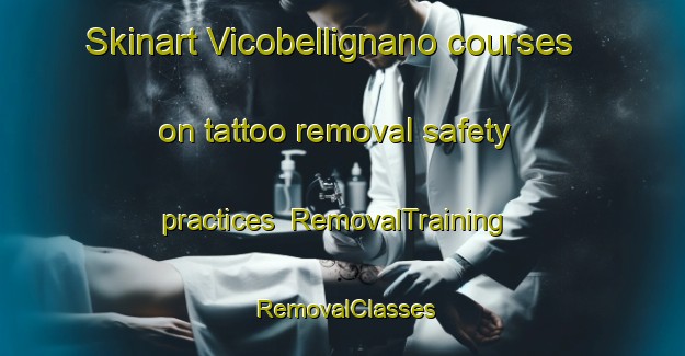 Skinart Vicobellignano courses on tattoo removal safety practices | RemovalTraining | RemovalClasses | SkinartTraining-Italy