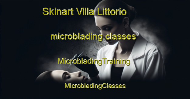 Skinart Villa Littorio microblading classes | #MicrobladingTraining #MicrobladingClasses #SkinartTraining-Italy