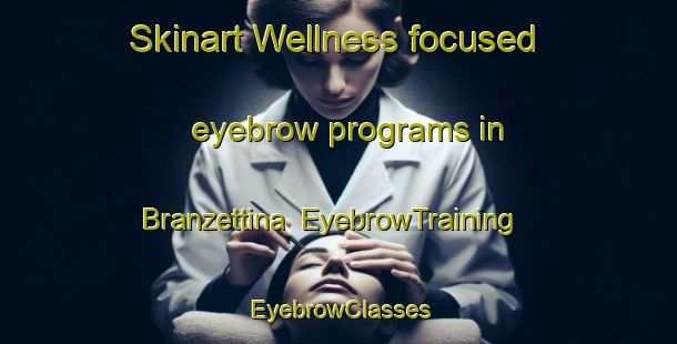 Skinart Wellness-focused eyebrow programs in Branzettina | EyebrowTraining | EyebrowClasses | SkinartTraining-Italy