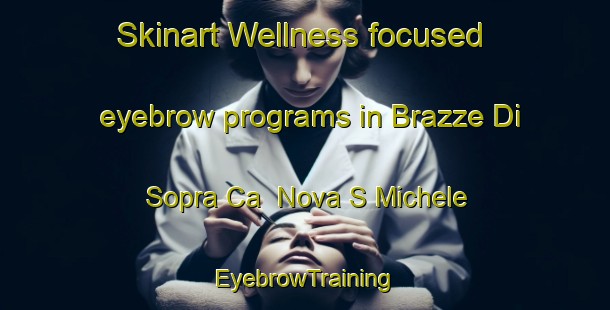 Skinart Wellness-focused eyebrow programs in Brazze Di Sopra Ca  Nova S Michele | EyebrowTraining | EyebrowClasses | SkinartTraining-Italy