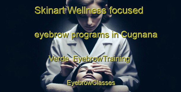 Skinart Wellness-focused eyebrow programs in Cugnana Verde | EyebrowTraining | EyebrowClasses | SkinartTraining-Italy