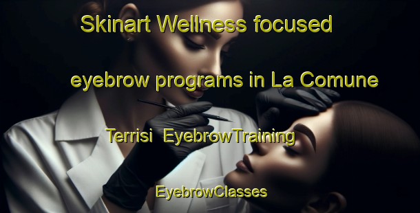Skinart Wellness-focused eyebrow programs in La Comune Terrisi | EyebrowTraining | EyebrowClasses | SkinartTraining-Italy
