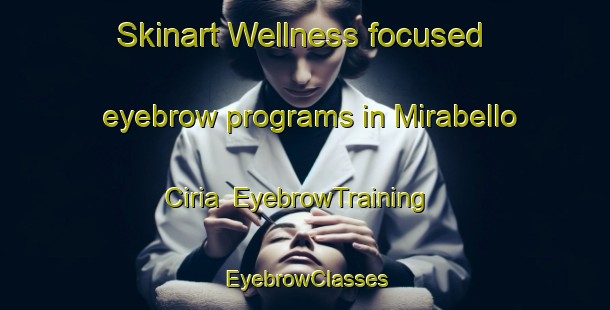 Skinart Wellness-focused eyebrow programs in Mirabello Ciria | EyebrowTraining | EyebrowClasses | SkinartTraining-Italy