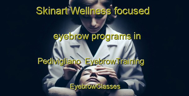 Skinart Wellness-focused eyebrow programs in Pedivigliano | EyebrowTraining | EyebrowClasses | SkinartTraining-Italy