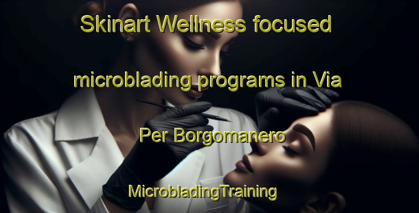 Skinart Wellness-focused microblading programs in Via Per Borgomanero | MicrobladingTraining | MicrobladingClasses | SkinartTraining-Italy