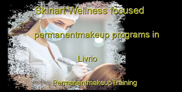 Skinart Wellness-focused permanentmakeup programs in Livrio | #PermanentmakeupTraining #PermanentmakeupClasses #SkinartTraining-Italy