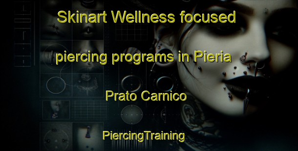 Skinart Wellness-focused piercing programs in Pieria Prato Carnico | PiercingTraining | PiercingClasses | SkinartTraining-Italy
