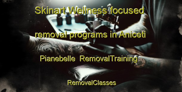 Skinart Wellness-focused removal programs in Aniceti Pianebelle | RemovalTraining | RemovalClasses | SkinartTraining-Italy