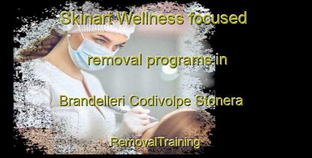 Skinart Wellness-focused removal programs in Brandelleri Codivolpe Stonera | RemovalTraining | RemovalClasses | SkinartTraining-Italy