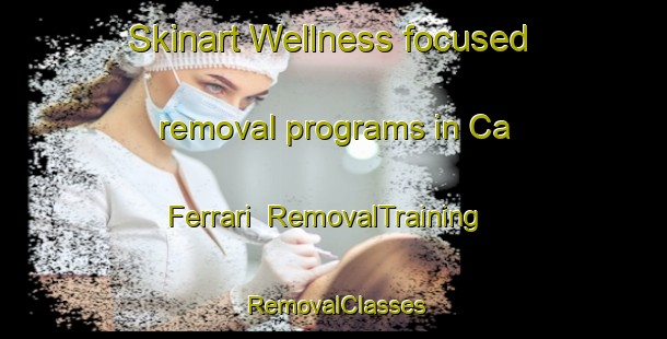 Skinart Wellness-focused removal programs in Ca  Ferrari | RemovalTraining | RemovalClasses | SkinartTraining-Italy