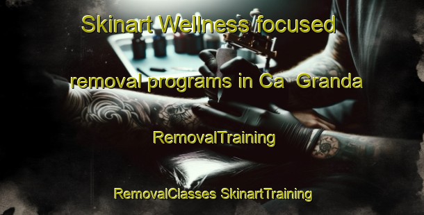 Skinart Wellness-focused removal programs in Ca  Granda | #RemovalTraining #RemovalClasses #SkinartTraining-Italy