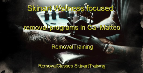 Skinart Wellness-focused removal programs in Ca  Matteo | #RemovalTraining #RemovalClasses #SkinartTraining-Italy