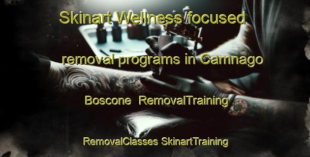 Skinart Wellness-focused removal programs in Camnago Boscone | #RemovalTraining #RemovalClasses #SkinartTraining-Italy