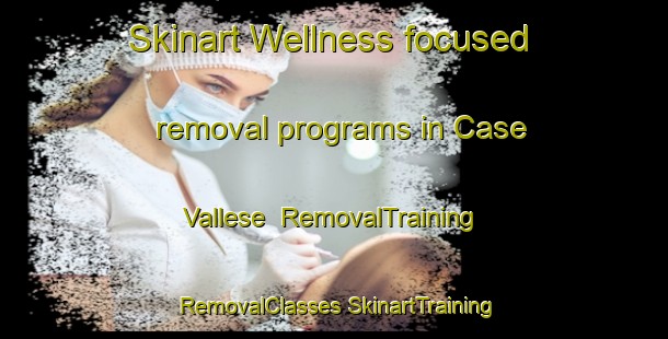 Skinart Wellness-focused removal programs in Case Vallese | #RemovalTraining #RemovalClasses #SkinartTraining-Italy