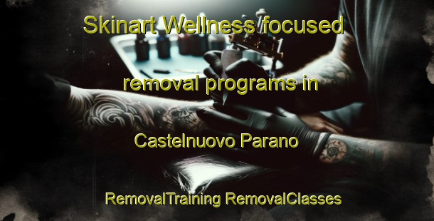 Skinart Wellness-focused removal programs in Castelnuovo Parano | #RemovalTraining #RemovalClasses #SkinartTraining-Italy