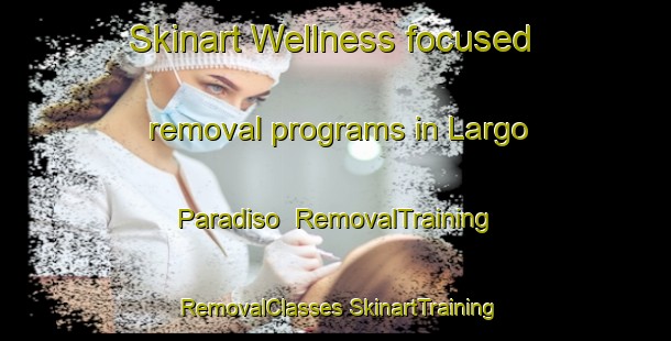 Skinart Wellness-focused removal programs in Largo Paradiso | #RemovalTraining #RemovalClasses #SkinartTraining-Italy