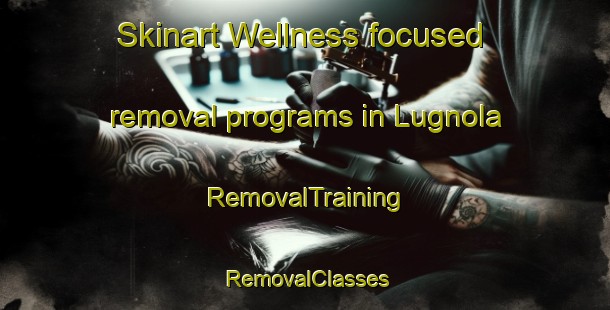 Skinart Wellness-focused removal programs in Lugnola | RemovalTraining | RemovalClasses | SkinartTraining-Italy