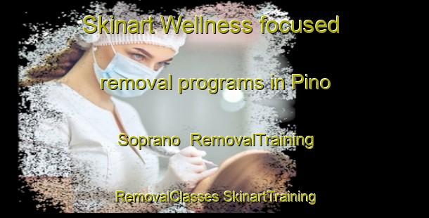 Skinart Wellness-focused removal programs in Pino Soprano | #RemovalTraining #RemovalClasses #SkinartTraining-Italy