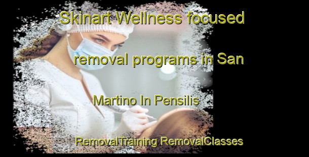 Skinart Wellness-focused removal programs in San Martino In Pensilis | #RemovalTraining #RemovalClasses #SkinartTraining-Italy