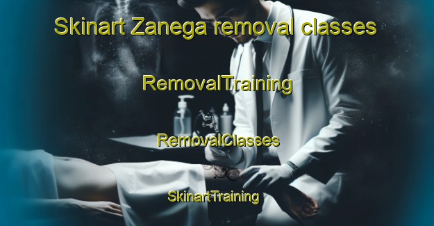 Skinart Zanega removal classes | RemovalTraining | RemovalClasses | SkinartTraining-Italy