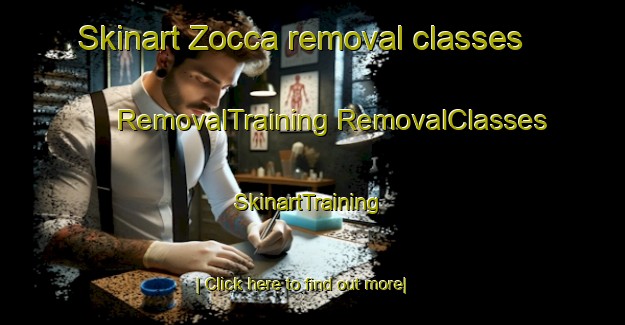 Skinart Zocca removal classes | #RemovalTraining #RemovalClasses #SkinartTraining-Italy