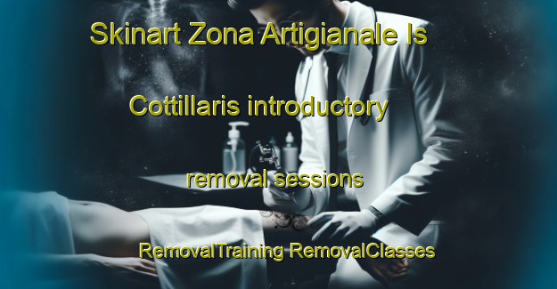 Skinart Zona Artigianale Is Cottillaris introductory removal sessions | #RemovalTraining #RemovalClasses #SkinartTraining-Italy