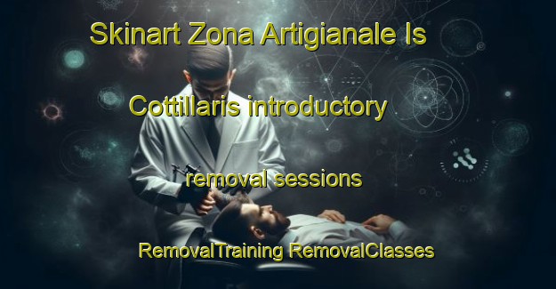 Skinart Zona Artigianale Is Cottillaris introductory removal sessions | #RemovalTraining #RemovalClasses #SkinartTraining-Italy