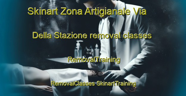 Skinart Zona Artigianale Via Della Stazione removal classes | #RemovalTraining #RemovalClasses #SkinartTraining-Italy