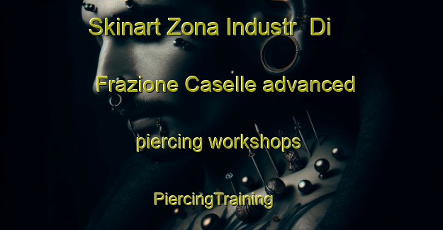 Skinart Zona Industr  Di Frazione Caselle advanced piercing workshops | PiercingTraining | PiercingClasses | SkinartTraining-Italy