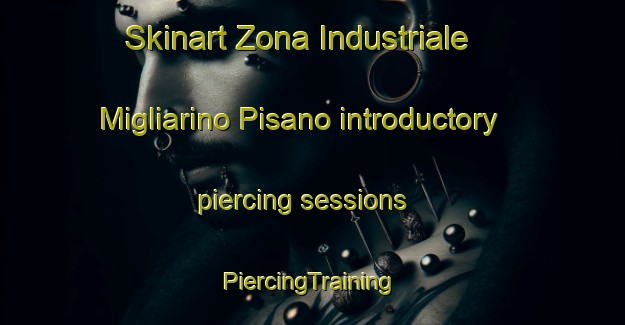 Skinart Zona Industriale Migliarino Pisano introductory piercing sessions | #PiercingTraining #PiercingClasses #SkinartTraining-Italy