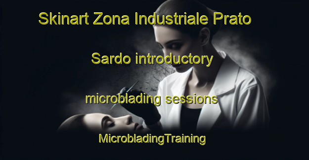 Skinart Zona Industriale Prato Sardo introductory microblading sessions | #MicrobladingTraining #MicrobladingClasses #SkinartTraining-Italy